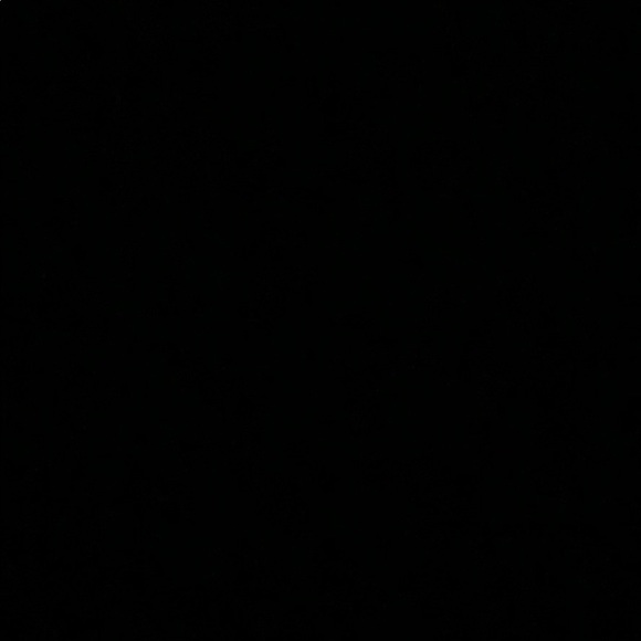 Meet your Posher, Cora - Picture 1 of 1